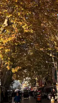 在景德鎮的24h真的沒有人能空手離開