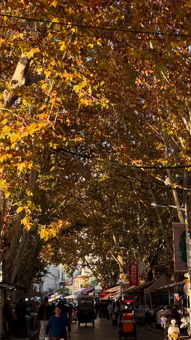 在景德鎮的24h真的沒有人能空手離開