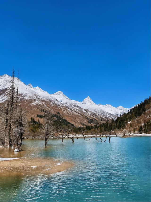 阿壩藏族羌族自治州4天|必打卡攻略 阿壩藏族羌族自治州4天|必打卡攻略