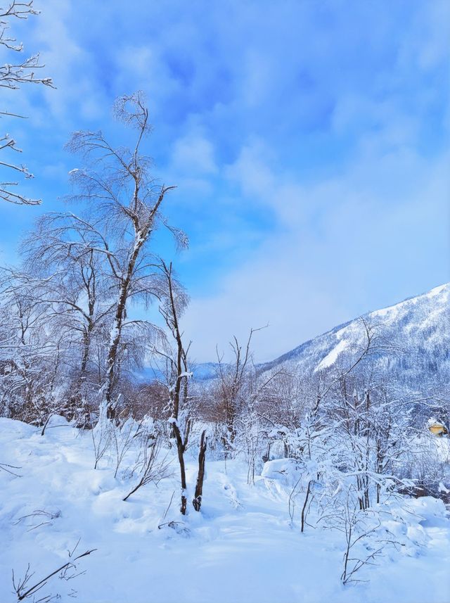 真的冬天樂山-成都之旅太治癒啦
