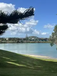 奧克蘭季節限定紫色藍花楹