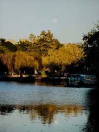 這個冬天就來大觀樓欣賞最美冬景吧