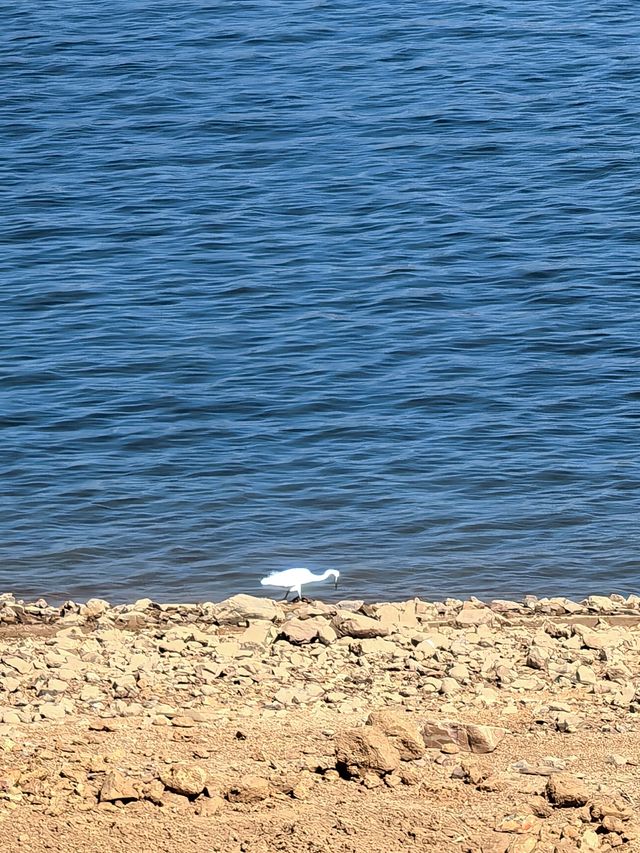 潮汕版的千島湖