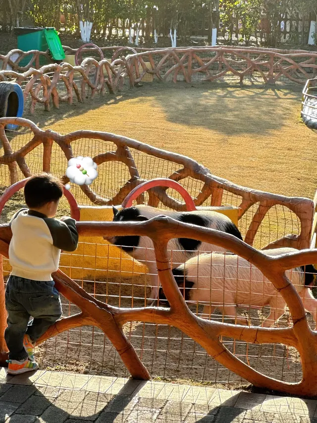 安吉嘉樂比|帶孩子在遊樂園狂嗨一整天~ 安吉嘉樂比|帶孩子在遊樂園狂嗨一整天~