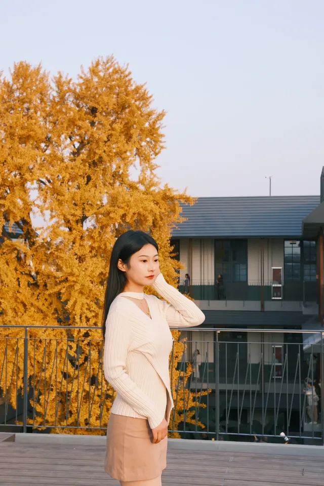 揚州蘇唱街|12月1日下午拍攝,這週得趕緊衝! 揚州蘇唱街|12月1日下午拍攝,這週得趕緊衝!