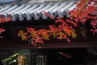 棲霞山 | 拍點不一樣的