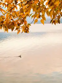 我在瀘沽湖收集了一整個日落劇場的浪漫