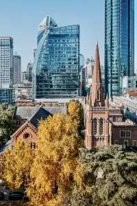 就在中環內|一個週末賞遍上海的銀杏之海