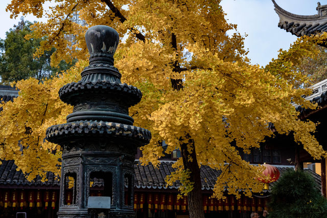 龍華古鎮賞秋攻略 龍華古鎮賞秋攻略