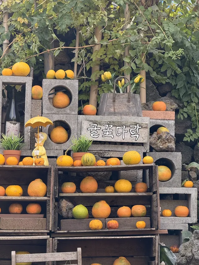 濟州島solo trip一人遊吃住行攻略 濟州島solo trip一人遊吃住行攻略