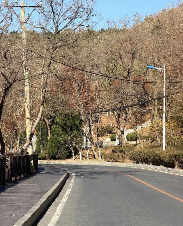 誰不喜歡冬天的大連呢!! 誰不喜歡冬天的大連呢!!