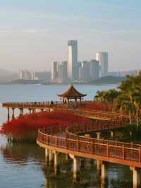 深圳福田紅樹林冬季親子遊 免費遛娃天花板！