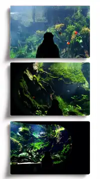 探索上海溫室花園的綠意秘境 