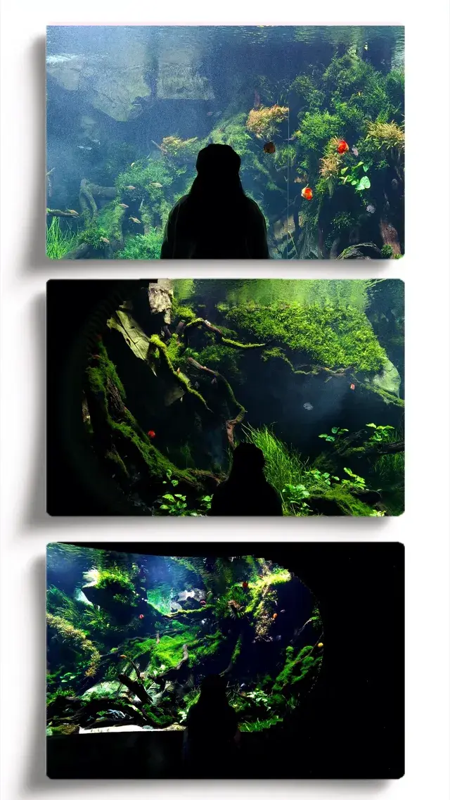 探索上海溫室花園的綠意秘境 