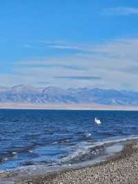 冰封青海湖:藏著藍冰與天鵝的冬日祕境
