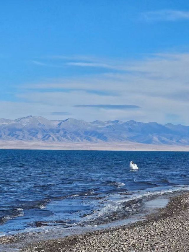 冰封青海湖:藏著藍冰與天鵝的冬日祕境 冰封青海湖:藏著藍冰與天鵝的冬日祕境