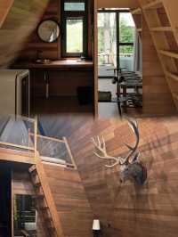 長白山滑雪住柏悅值嗎?滑進滑出+雪景溫泉太香了