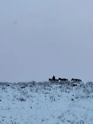 Altay｜Some photos with the snow