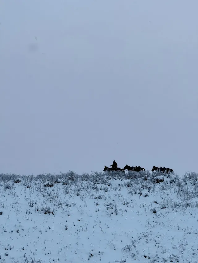阿勒泰|一些和雪的合影 阿勒泰|一些和雪的合影