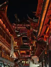 99%的人沒見過這樣的豫園!