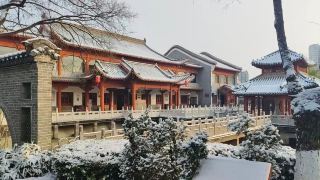 หิมะแรกได้ตกลงมาแล้วในเขตท่องเที่ยวโบโจว ขอเชิญชวนทุกท่านมาเพลิดเพลินกับทิวทัศน์ฤดูหนาวอันงดงาม