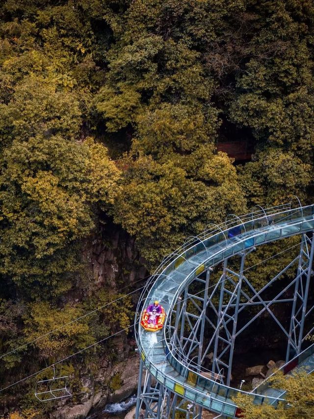 浙北大峽谷遊玩全攻略|懸崖秋千+玻璃吊橋嗨翻天 浙北大峽谷遊玩全攻略|懸崖秋千+玻璃吊橋嗨翻天