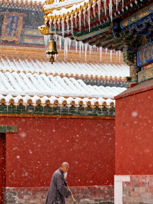 雪後老君山有多絕?這份攻略帶你登頂"天宮" 雪後老君山有多絕?這份攻略帶你登頂"天宮"