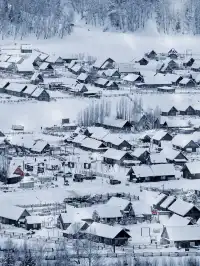 阿達西,今年的禾木我來看了