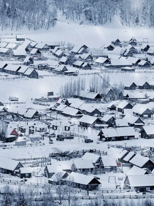 阿達西,今年的禾木我來看了 阿達西,今年的禾木我來看了