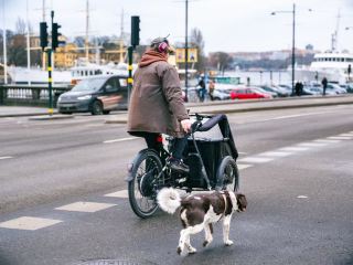 สวรรค์ของชีวิตช้า ที่แท้คนสวีเดนใช้ชีวิตแบบนี้กัน