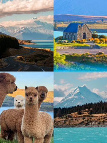 뉴질랜드 | 이곳은 호빗의 진짜 고향입니다