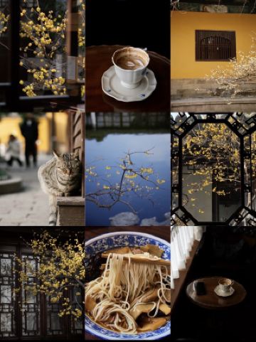 Suzhou 48-Hour Itinerary: A One-Stop Solution for Garden Night Tours and Hidden Gem Restaurants