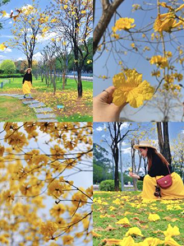 คอลเลคชั่นพิเศษประจำฤดูใบไม้ผลิ "Golden Age" วางจำหน่ายแล้ว! อย่าพลาด มิเช่นนั้นคุณจะต้องรออีกปี!