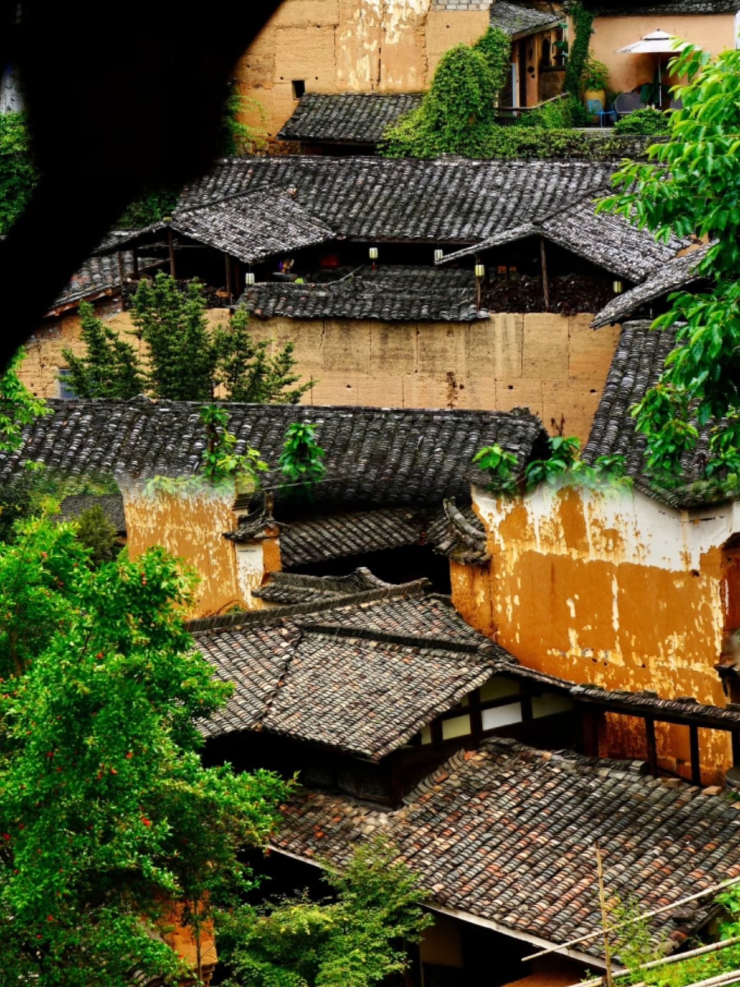 Zhejiang Songyang | A Complete 2-Day 1-Night Slow Travel Guide to the Hidden Jiangnan Secret in the Deep Mountains