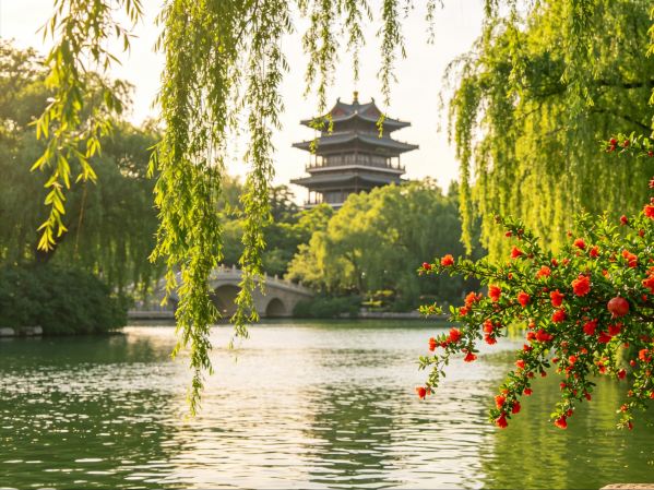 初夏の秘境！済南のザクロの花が満開、一面の真っ赤が優しい夏に