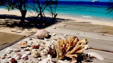 A Dream Honeymoon in Paradise — traveler post in Bathalaa