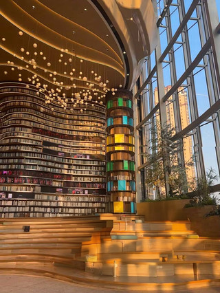 Step into the Halo. A whole rainforest hides inside a Chongqing mall.