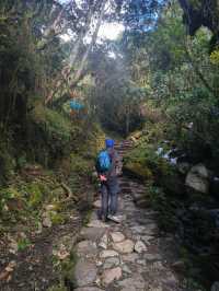 Unforgettable Inca Adventure with Exceptional Team