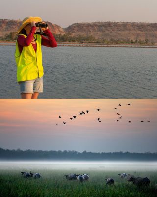 A paradise for bird photography! Join us for a 7-day birdwatching expedition in Australia's Top End~