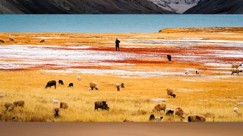9日間でガリを横断、無人の山野の風景を独り占め — traveler post in ラサ
