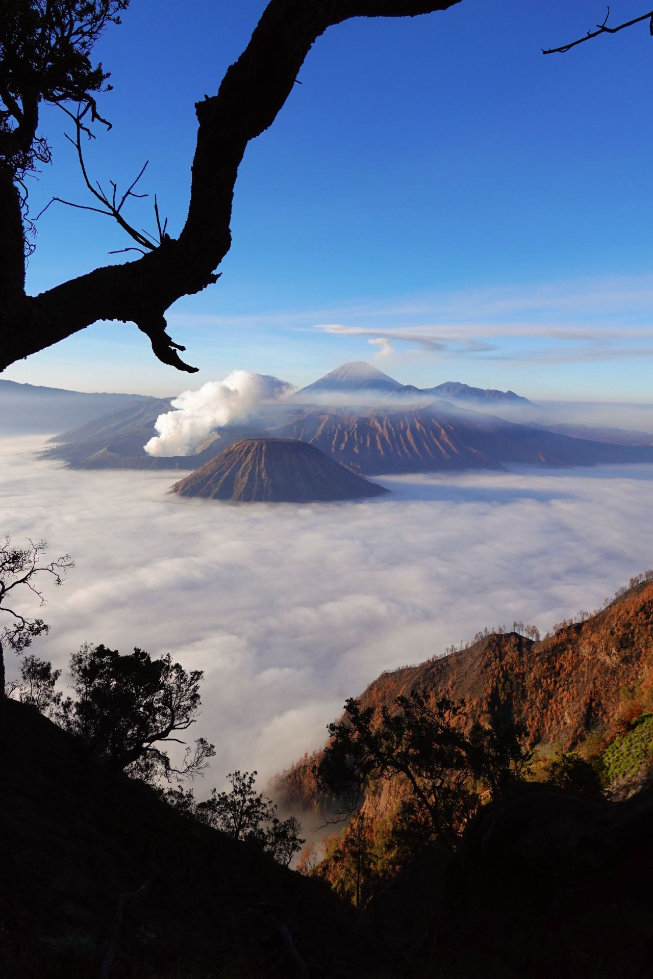 This itinerary fit our needs perfectly, with Yogyakarta's cultural attractions and Surabaya and East Java's natural scenery, the only regret was the uncontrollable weather, for 3
