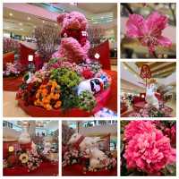 新春的香港公園x太古廣場🐇🎊🌺
