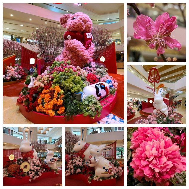 新春的香港公園x太古廣場🐇🎊🌺