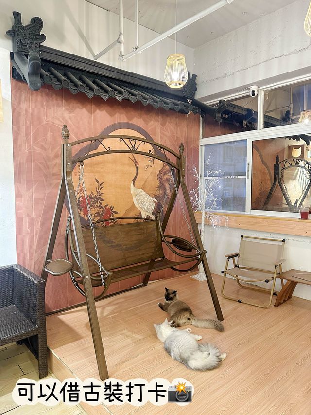 ⭐️貓貓Cafe竟然有豬仲有狗？🐱🐷🐶