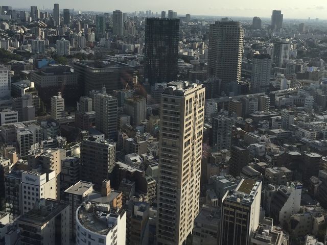 Amazing view from the top of Tokyo Tower 