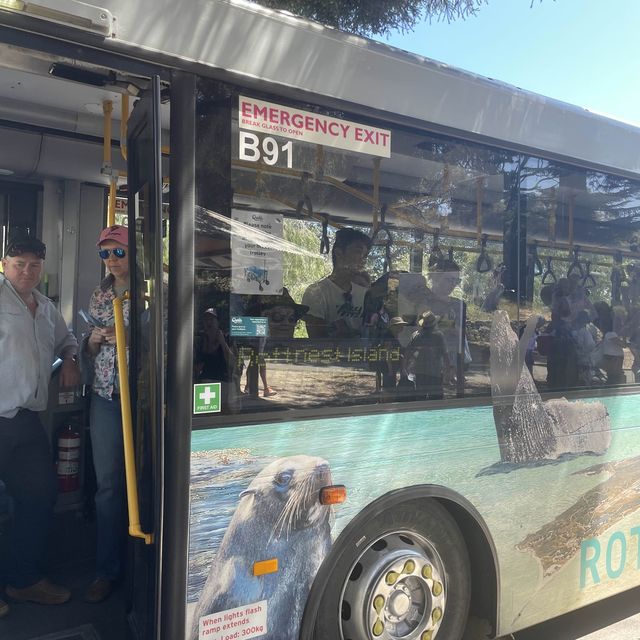 Rottnest Island Perth 