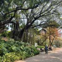 青衣休憩公園🫶🏻草地池塘😍散步🚶🏻‍♀️好去處