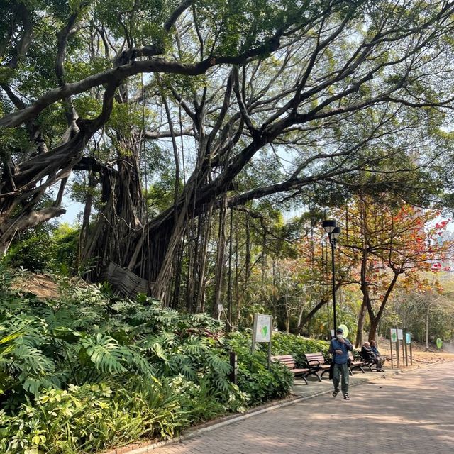 青衣休憩公園🫶🏻草地池塘😍散步🚶🏻‍♀️好去處