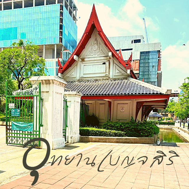 🌷ปอดของพร้อมพงษ์