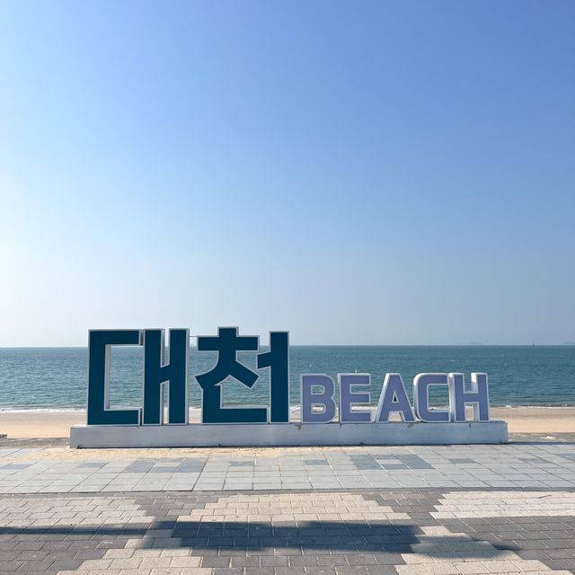 해질녘 윤슬이 특히 예쁜 충청도 대표 바다 🌊